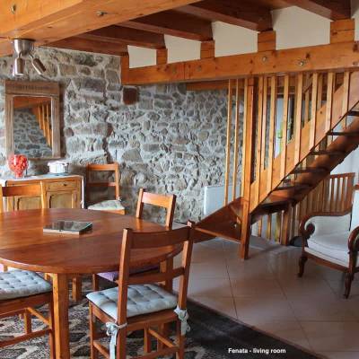Borieta Farmhouse Southern French Alps - Fenata- living room.jpg